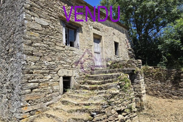 Photo du bien immobilier 185