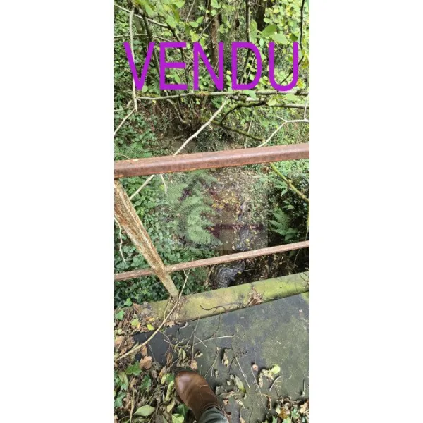 Photo du bien immobilier 187