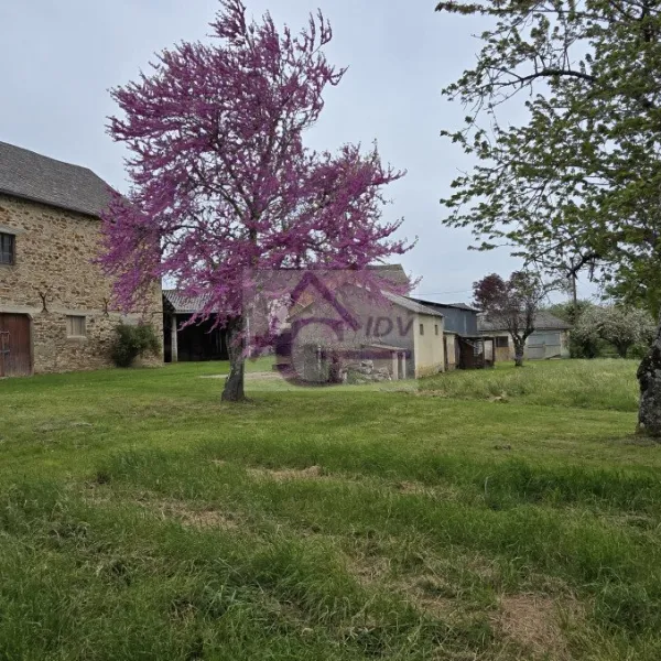 Photo du bien immobilier 196